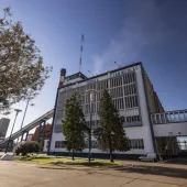Exterior view of the San Nicolás thermal power plant showing industrial buildings, a smokestack, connecting walkways, and trees in the foreground.