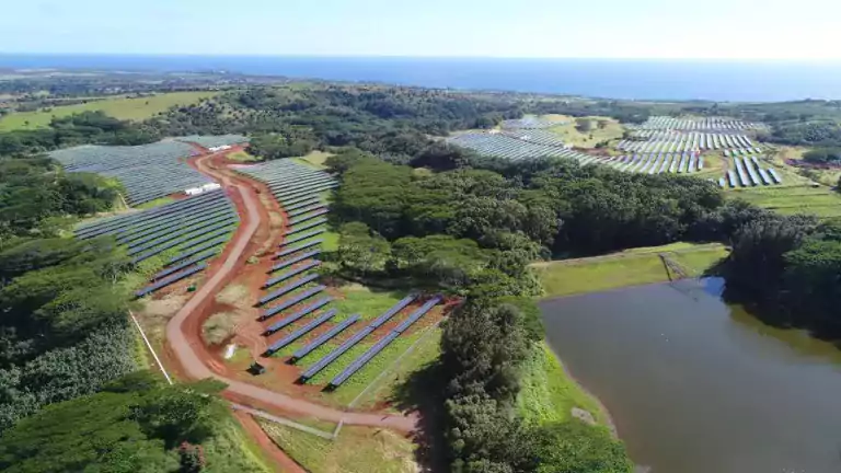 Aerial view of a large solar farm with rows of solar panels spread across green fields, surrounded by trees and a pond, with the ocean visible in the background under a clear sky.