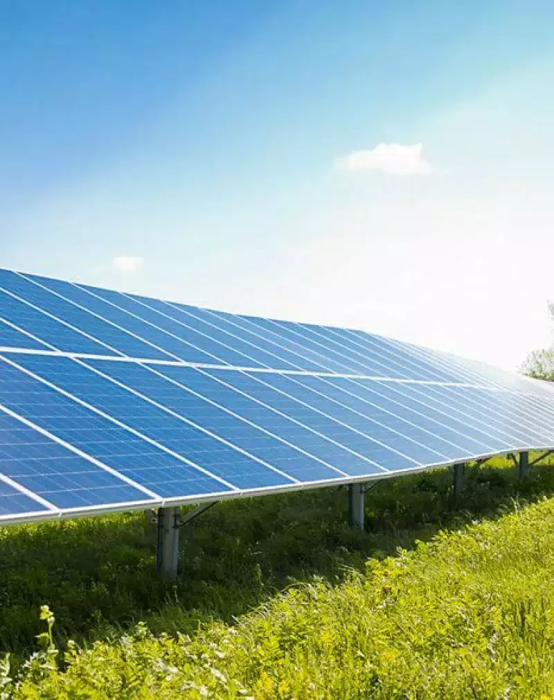 Rows of solar panels installed in a grassy field under a clear blue sky, with trees in the background, capturing sunlight for renewable energy generation.