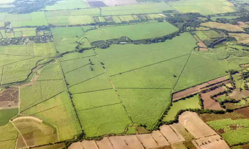 Aerial view of large green agricultural fields divided by dirt roads and hedgerows, with patches of brown soil and scattered trees in a rural landscape.
